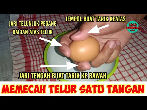 CARA MEMECAHKAN TELUR DENGAN SATU TANGAN