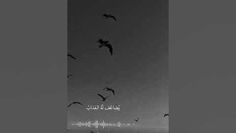 من سورة الفرقان🎧#قرآن #ارح_سمعك #ارح_قلبك #قرآن_كريم #اجر_لي_ولكم_ولوالدينا_وللمسلمين #اكسبلور #ترند