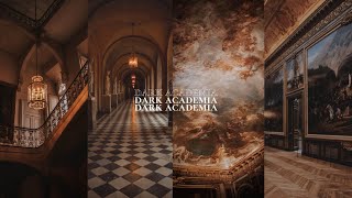 a dark academia classical study playlist + ancient library room ambience