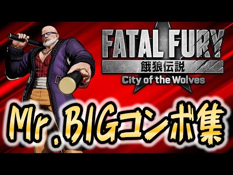 Fatal Fury: City of the Wolves (CotW)] Mr. BIG Combo Collection