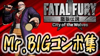 Fatal Fury: City of the Wolves (CotW)] Mr. BIG Combo Collection