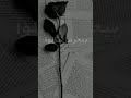 وبيصرخ الإحساس لا تنسى حالك مين حالات واتس أب حزينة فرح يوسف ستوريات انستا حزينة