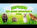 ЗАГАДКИ ПРО ДИКИХ ЖИВОТНЫХ и ПТИЦ // Для детей 2-3 года.