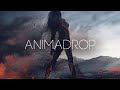 Animadrop - Slow Down