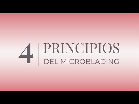 Los 4 principios del microblading | Beauty Angels Academy Latino