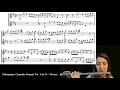 Telemann vivacecanonic sonata in g play along