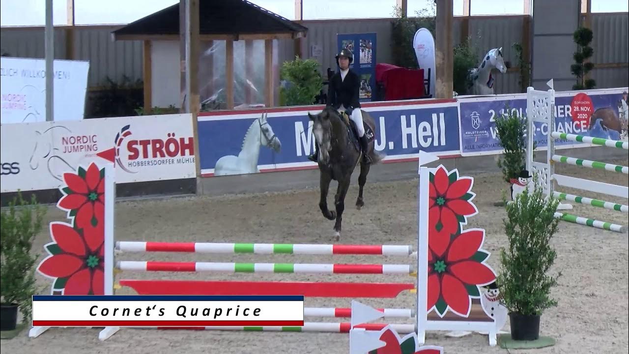 Quaprice OnlineHengstpräsentation Holsteiner