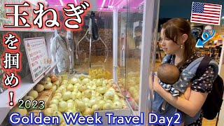 Can you catch the onion? #Japantravel #Awajishima #Shikokuislands