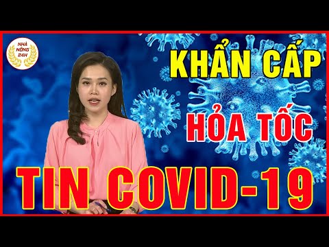 Tin Dịch Covid-19 Mới Nhất 31/5/2021 | Thêm 82 ca mắc COVID-19 trong nước