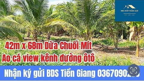 T.594_2592m2 vườn cây ao cá view kênh đường ôtô Tam Hiệp Châu Thành TG