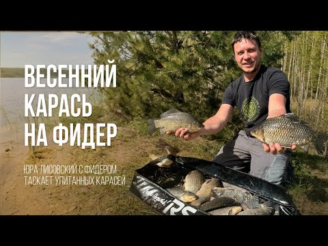 Видео: Ловля бойких КАРАСЕЙ фидером на "СЕКРЕТНОМ" водохранилище весной в Беларуси