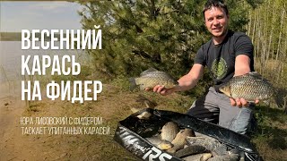 Ловля бойких КАРАСЕЙ фидером на &quot;СЕКРЕТНОМ&quot; водохранилище весной в Беларуси