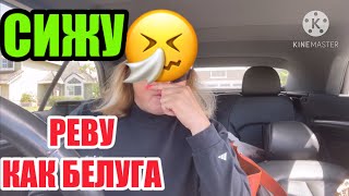 О ВНУКАХ,ЧТО ДАЛЬШЕ -ТО ЖДАТЬ?? ПЕРЕВЕЗЛИ ИЗ РОССИИ В МЕКСИКУ.МАТЕРИ ВЫШЛИ ЗАМУЖ ЗА АМЕРИКАНЦЕВ.ГЕНЫ