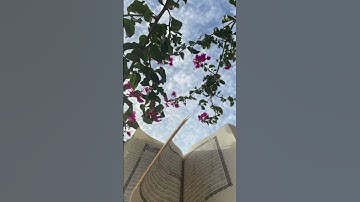 أكتب شيء تؤجر عليه #قرآن #اكسبلور #المصحف #quran #قران_كريم #لايك #ماهر_المعيقلي #سورة_آل_عمران