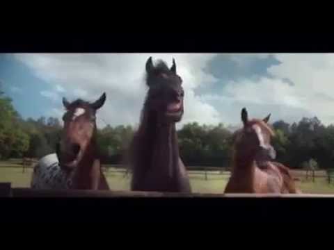 Volkswagen - Les chevaux rient [Commercial]