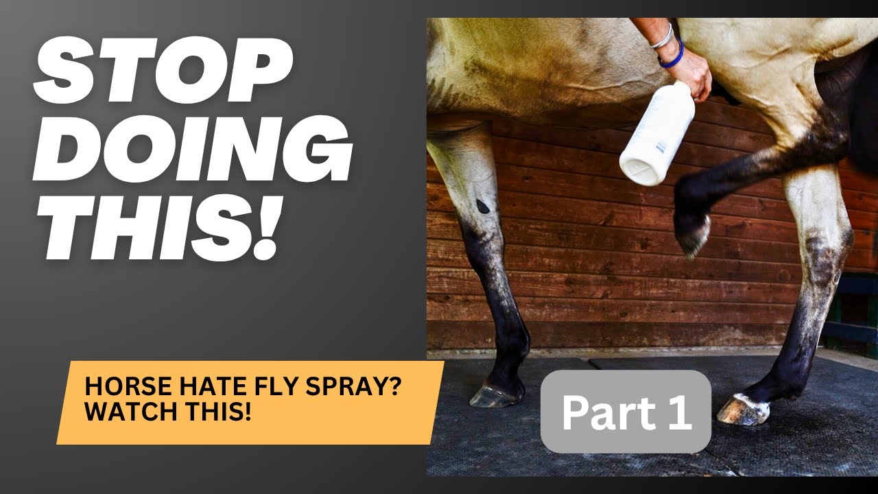 Have a Horse that Doesn't Like Fly Spray? 