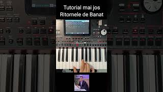 Ritornele de Banat la orgă #korgpa1000 #muzicadepetrecere #muzicapopulara #tutorialorga