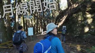 112.12.9阿里山眠月線(第一次抽籤就幸運中籤)