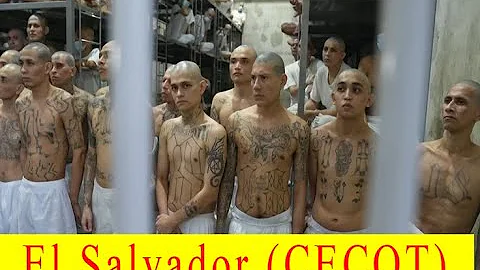 The World's Highest Security Prison: El Salvador (CECOT)The most evil are kept here