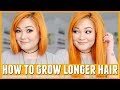 10 Tip To Grow Your Hair Longer Faster