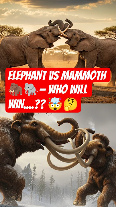 World’s Most Fearless Predators in Action 🐘🦁 | Who will win..??🤯🤔🤔