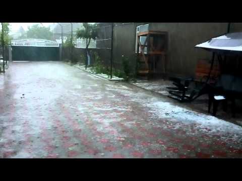 Град уничтожил весь виноград