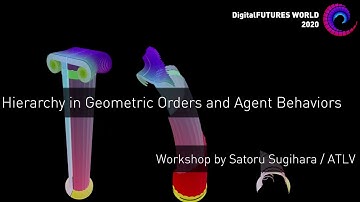 Hierarchy in Geometric Orders and Agent Behaviors Workshop Final Works