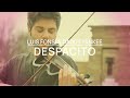 Despacito - Luis Fonsi  ft. Daddy Yankee (Jose Asunción Violín Cover)