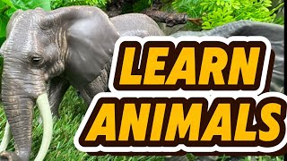 10 Amazing African Animals for Kids 🐘🦁 | Safari Fun Facts