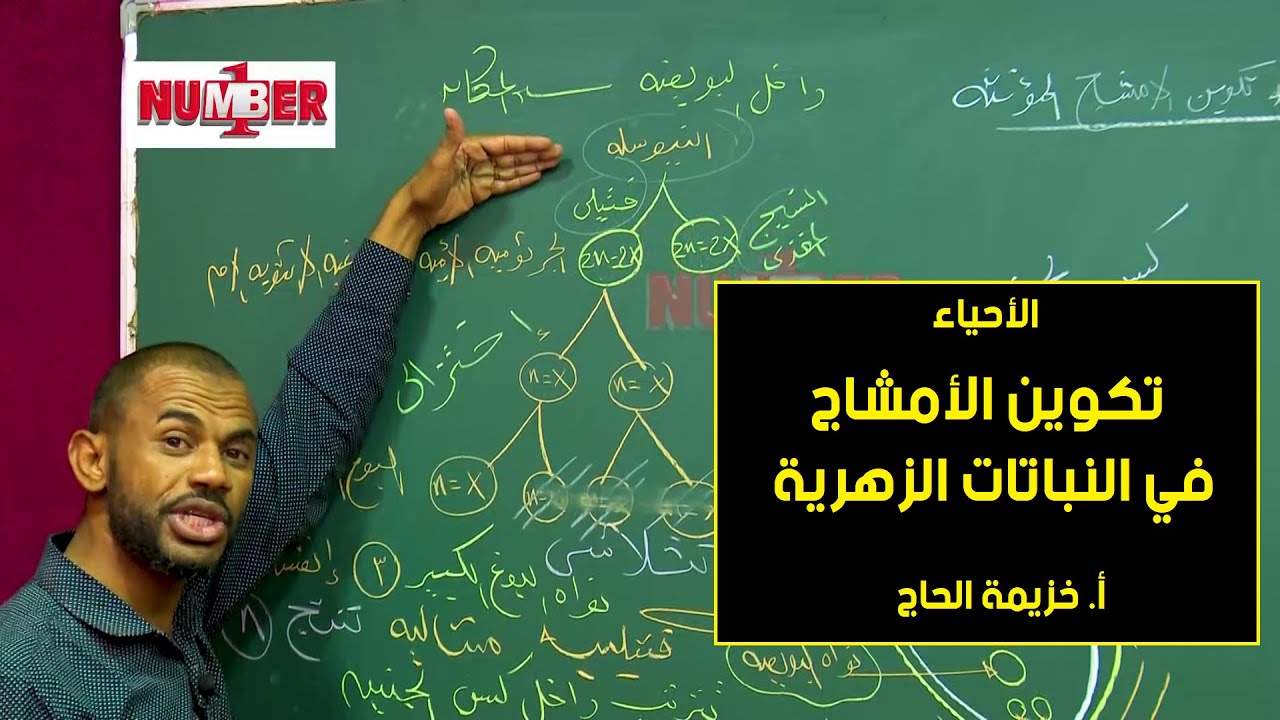 الأحياء | تكوين الأمشاج في النباتات الزهرية | أ.خزيمة الحاج | حصص الشهادة السودانية