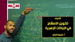 الأحياء | تكوين الأمشاج في النباتات الزهرية | أ.خزيمة الحاج | حصص الشهادة السودانية