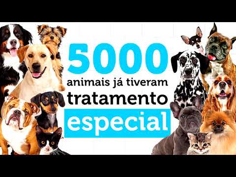 Vídeo: Pet Center, Inc. Recolhe Voluntariamente Guloseimas Para Cães De Cordeiro