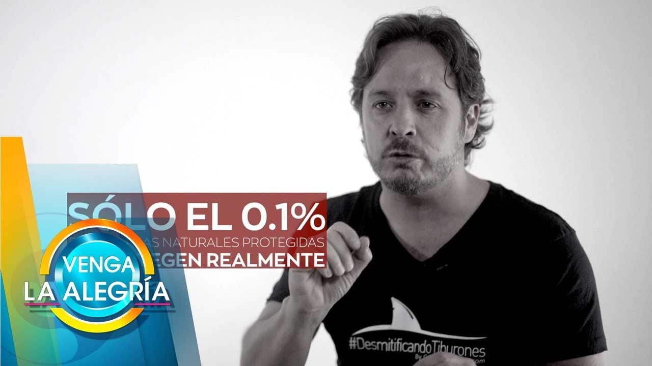 ¡Extinción de tiburones! Gerardo del Villan nos hace reflexionar sobre el tema. | Venga La Alegría tv azteca uno