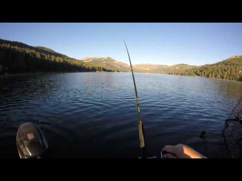 Donner Lake Mackinaw Donner Lake Mackinaw