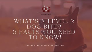 Law GBG | What’s a Level 2  Dog Bite  5 Facts You Need  to Know!