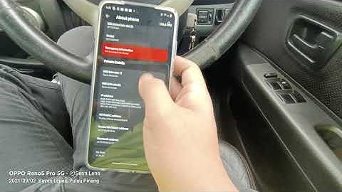 dotOS 5.1.3 on Poco X3 Pro