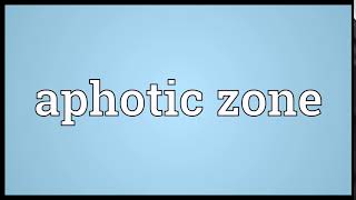 Aphotic Zone Meaning Wordogram