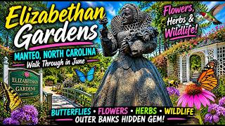 Hidden Gem of the Outer Banks | Elizabethan Gardens Walkthrough