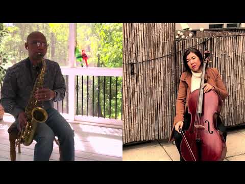 Fall On Me Christina Aguilera A Great Big World Saxophone Cello 