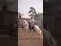 Time Challe 💯 | Navv Inder x Labh Heera 🔥 #viral #reels  #punjabisong #ytshorts