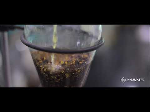 Ingredients by MANE - Capturing Nature through Innovation