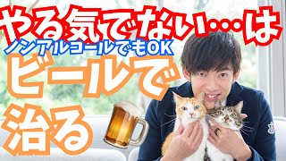 明日は仕事だ、やる気がでないに【ビールが効くかも】