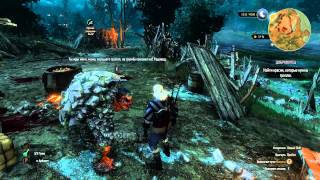 Прохождение The Witcher 3: Wild Hunt (Серия 30) [Краска для Тролля]