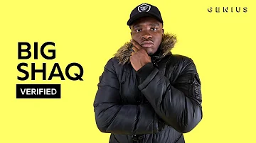 Big Shaq "Man's Not Hot" Official Lyrics & Meaning | Verified