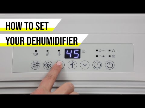 How to Set Your Dehumidifier | Sylvane