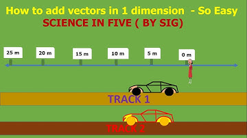 Adding vectors in one dimension so easy - Science In Five