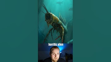 Using AI to Create New Animal Species #shorts #ai #aiart #midjourney #funny.mp4