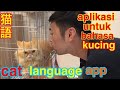 Aplikasi Bicara dengan Bahasa Kucing.vol2 　「Application that can talk with cat」
