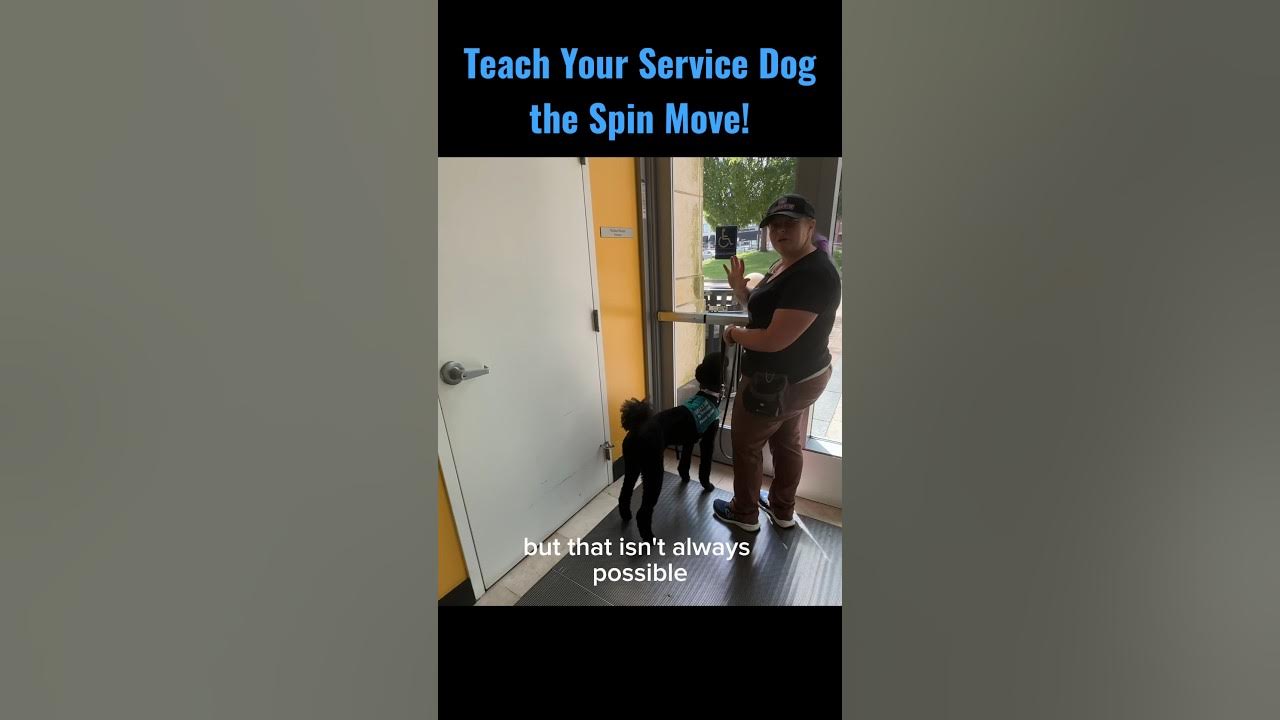 Does Your Service Dog Know “The Spin Move”? YouTube