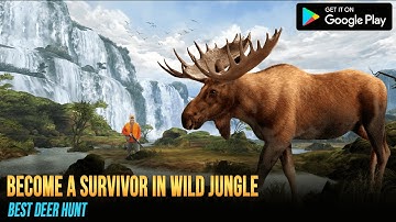 Jungle Deer Hunting (Animal Hunting Game)